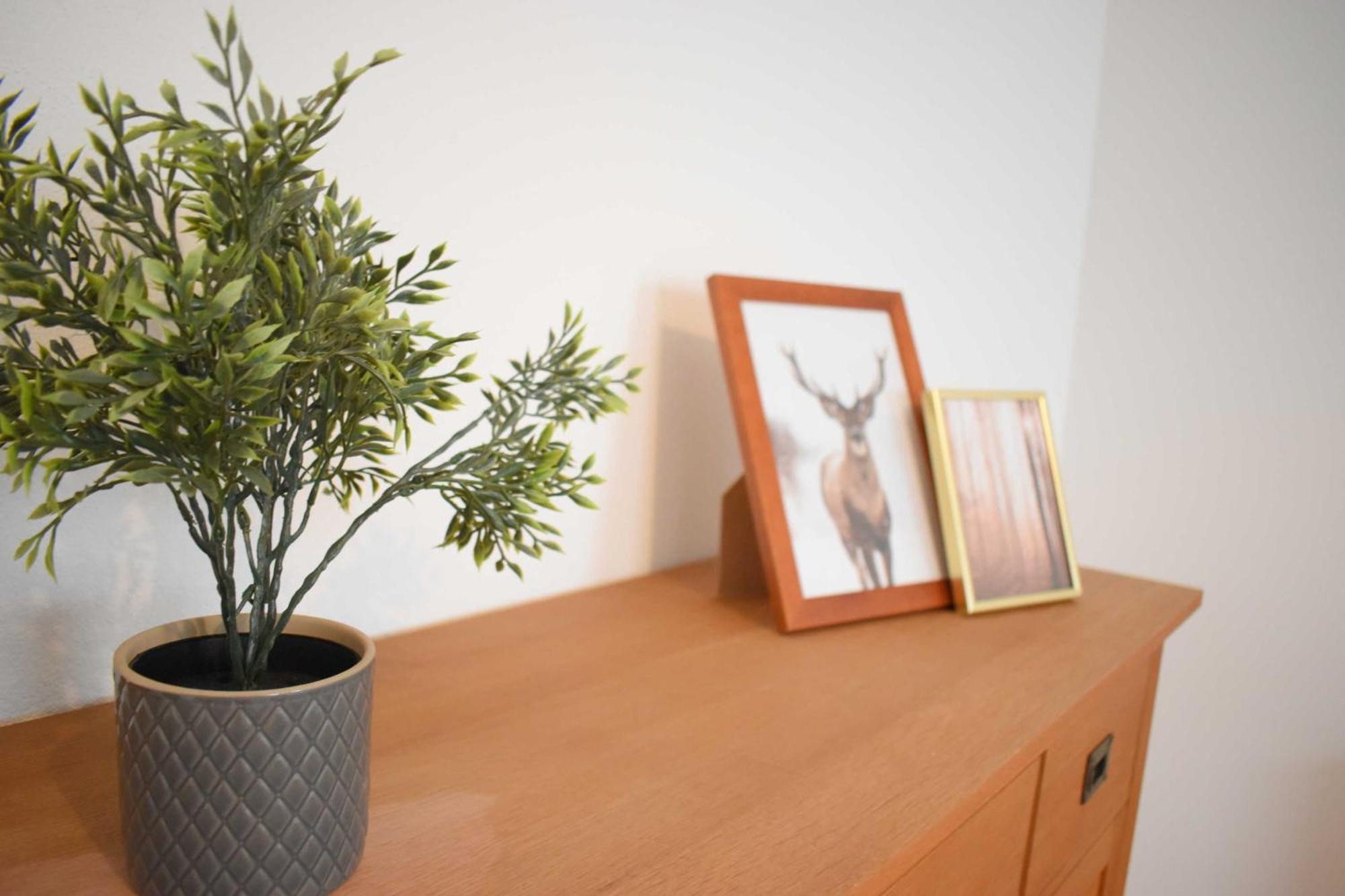 Ob Ferienwohnung Sensbachtal Unter-Sensbach Exterior foto